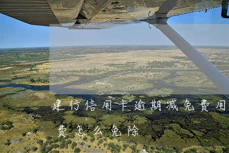 建行信用卡逾期减免费用(建设银行信用卡年费怎么免除)