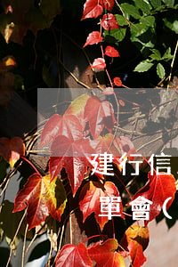 建行信用卡逾期出賬單(建行信用卡逾期出賬單會(huì)怎么樣)