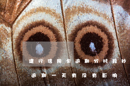 建行信用卡逾期分时段秒扣(建设银行信用卡逾期一天有没有影响?)