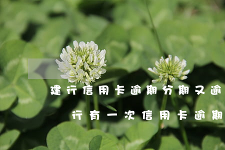 建行信用卡逾期分期又逾期(建設(shè)銀行有一次信用卡逾期怎么辦)