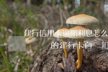建行信用卡逾期利息怎么扣(欠建行信用卡的錢,從別的建行卡自動扣)
