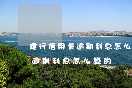 建行信用卡逾期利息怎么算的-建行信用卡逾期利息怎么算的