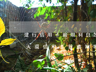 建行信用卡逾期利息怎么要回來(建行推遲一天還信用卡算逾期嗎?)