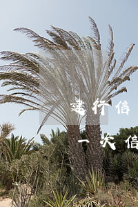 建行信用卡逾期到下一期账单-建设银行有一次信用卡逾期怎么办