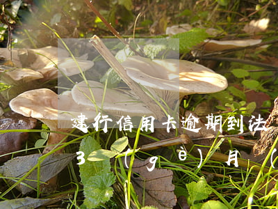 建行信用卡逾期到法務(wù)(信用卡逾期3個(gè)月進(jìn)入法務(wù)訴訟怎么辦)