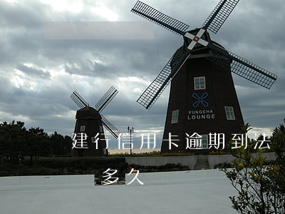 建行信用卡逾期到法務(建行信用卡逾期到法務多久)