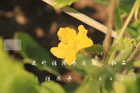 建行信用卡逾期劃扣工資卡(欠建設(shè)信用卡會(huì)從別的銀行卡扣嗎)