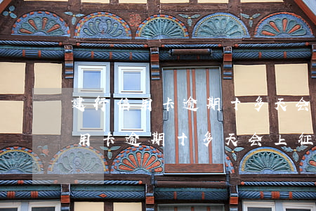 建行信用卡逾期十多天会上征信吗-建行信用卡逾期十多天会上征信吗知乎