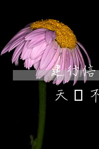 建行信用卡逾期十多天 建行信用卡逾期十多天會不會有什么影響嗎