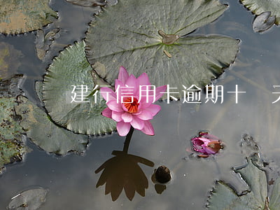 建行信用卡逾期十幾天怎么辦