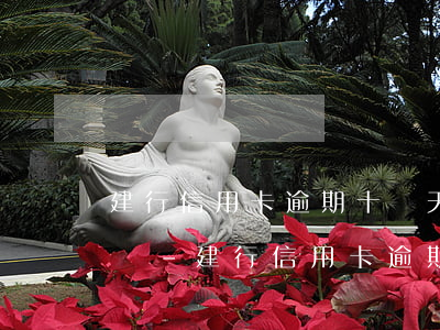 建行信用卡逾期十幾天會(huì)上征信嗎-建行信用卡逾期十幾天會(huì)上征信嗎知乎