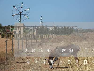 建行信用卡逾期十幾天會降額度嗎-建行信用卡逾期十幾天會降額度嗎怎么辦