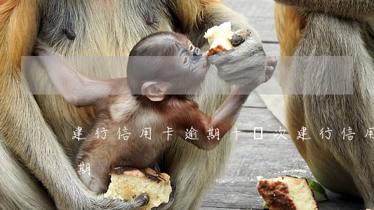 建行信用卡逾期十幾次(建行 信用卡 逾期寬限期)
