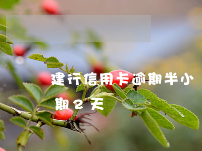 建行信用卡逾期半小時(建行信用卡不小心逾期2天)