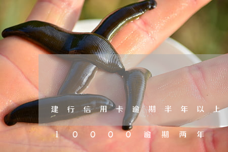 建行信用卡逾期半年以上会怎样(建行信用卡10000逾期两年)