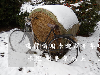 建行信用卡逾期半年以上會怎樣-建行信用卡逾期半年以上會怎樣處罰