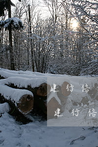 建行信用卡逾期半年后還清必須要銷卡嗎-建行信用卡逾期半年后還清必須要銷卡嗎