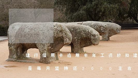 建行信用卡逾期半年工资秒扣(建行卡逾期,但是每月坚持还2000左右)