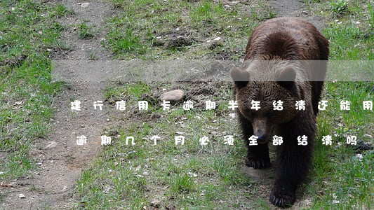 建行信用卡逾期半年结清还能用吗(建行房贷逾期几个月必须全部结清吗?)