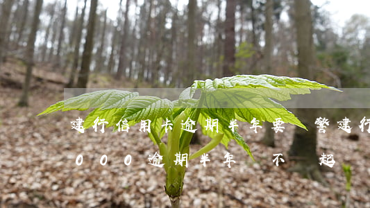 建行信用卡逾期半年要報警(建行信用卡15000逾期半年會不會起訴)