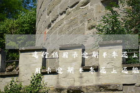 建行信用卡逾期半年还上还能用吗-建行信用卡逾期半年还上还能用吗知乎