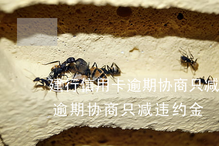 建行信用卡逾期协商只减违约金(建行信用卡逾期协商只减违约金)