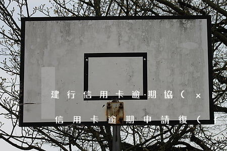 建行信用卡逾期協(xié)商60期(建行信用卡逾期申請復(fù)議)