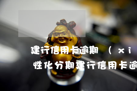 建行信用卡逾期協(xié)商個(gè)性化分期(建行信用卡逾期可以申請(qǐng)個(gè)性化分期嗎)