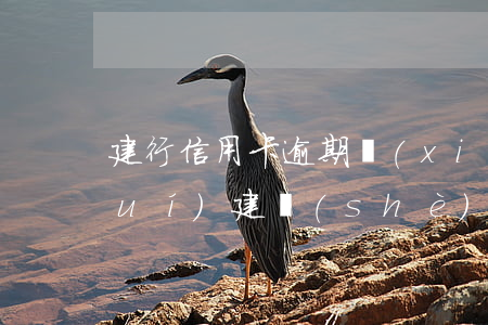 建行信用卡逾期協(xié)商找誰(shuí)(建設(shè)銀行信用卡逾期多久會(huì)聯(lián)系緊急聯(lián)系人)