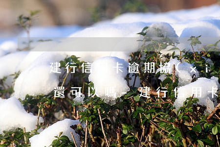 建行信用卡逾期協(xié)商減免或者退還可以嗎-建行信用卡逾期協(xié)商減免或者退還可以嗎怎么辦