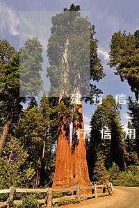 建行信用卡逾期協(xié)商還款成功(建行信用卡逾期協(xié)商還款成功)