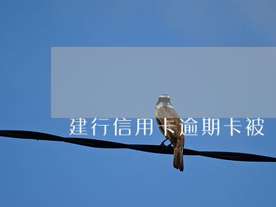 建行信用卡逾期卡被凍結(jié)