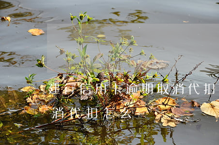 建行信用卡逾期取消代扣(建行信用卡逾期取消代扣怎么辦)