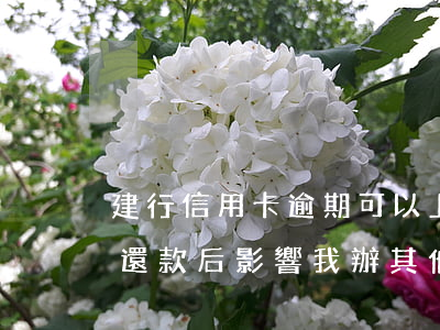 建行信用卡逾期可以上銀行還清嗎(建行逾期還款后影響我辦其他銀行信用卡嗎)