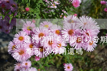 建行信用卡逾期可以分期還嗎(建行信用卡逾期可以分期還嗎)