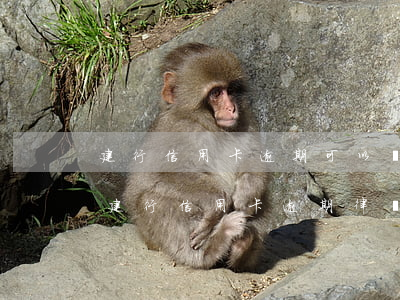 建行信用卡逾期可以協(xié)商還嗎(欠建行信用卡逾期律師說起訴還可以協(xié)商)