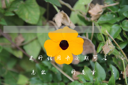 建行信用卡逾期可以協(xié)商還款嗎(怎么與銀行商量協(xié)商信用卡逾期還款事宜)