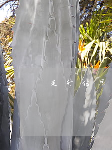 建行信用卡逾期可以撤