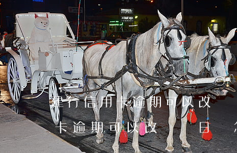建行信用卡逾期可以改賬單日嗎-建行信用卡逾期可以改賬單日嗎怎么改