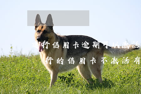 建行信用卡逾期可以激活嗎(建設(shè)銀行的信用卡不激活有什么后果)