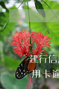 建行信用卡逾期可以辦理信合卡嗎-建行信用卡逾期可以辦理信合卡嗎