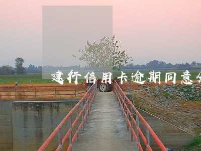 建行信用卡逾期同意分60期