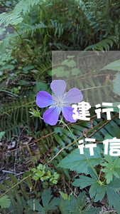建行信用卡逾期后不承兌(建設(shè)銀行信用卡因為逾期被凍結(jié)還能使用嗎)