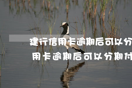 建行信用卡逾期后可以分期付款嗎-建行信用卡逾期后可以分期付款嗎