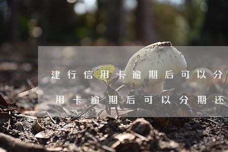 建行信用卡逾期后可以分期还款吗-建行信用卡逾期后可以分期还款吗