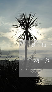 建行信用卡逾期后可以解鎖碼(建行信用卡逾期后可以解鎖碼)