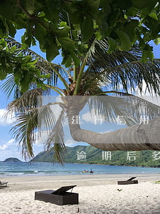 建行信用卡逾期后多久更新征信(建行信用卡逾期后多久更新征信記錄)