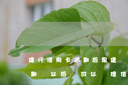建行信用卡逾期后果(建設(shè)銀行逾期過,以后還可以辦理信用卡嗎)