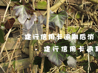 建行信用卡逾期后消費(fèi)顯示不承兌-建行信用卡逾期后消費(fèi)顯示不承兌怎么辦