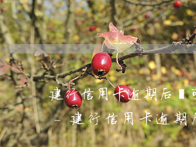 建行信用卡逾期后還可以協(xié)商嗎-建行信用卡逾期后還可以協(xié)商嗎